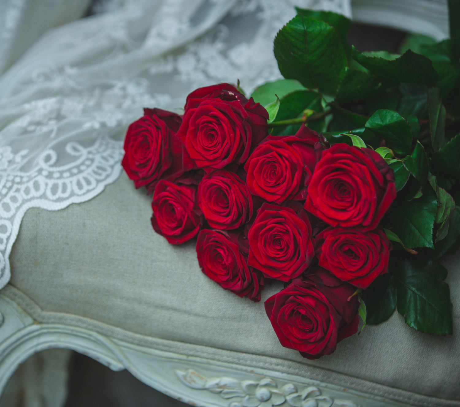 Red Roses
